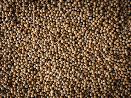 Pack Of 3 Premium Sachets Sikara White Pepper 60G