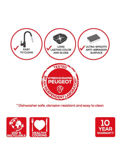 Set of icons and text highlighting features and certifications related to a product, with a focus on cleanliness, color durability, surface texture, and warranty information.